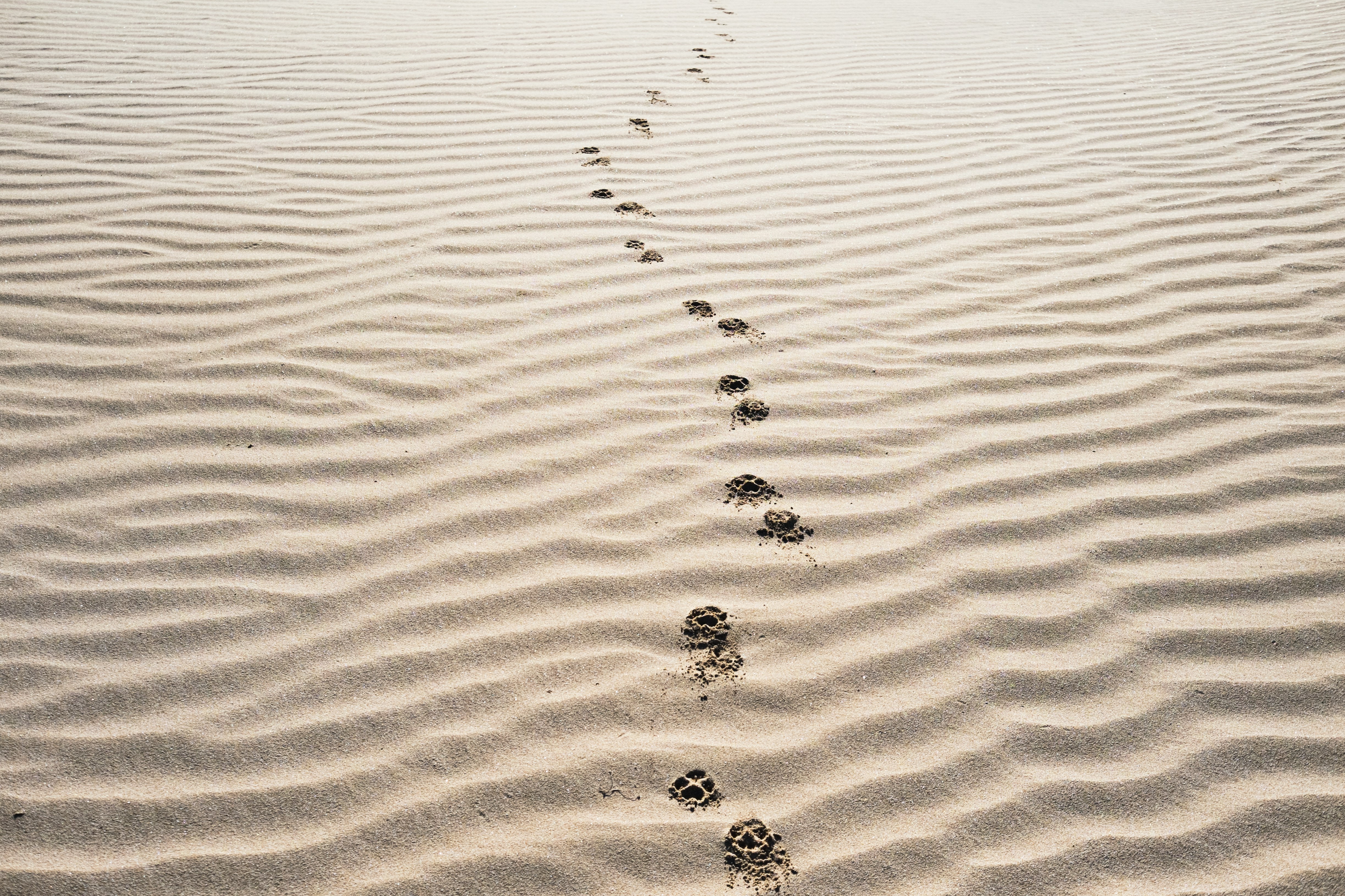 footprints on sand